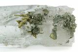 Himalayan Chlorite Phantom Quartz Crystal with Epidote #242014-1